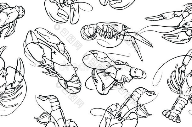 抽象的无缝的矢量模式和放置关于淡水螯虾墨水图解