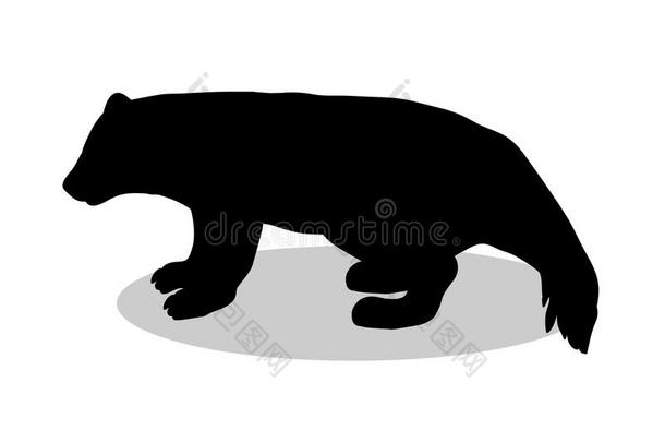 狼獾熊野生的鸟兽等黑的轮廓动物