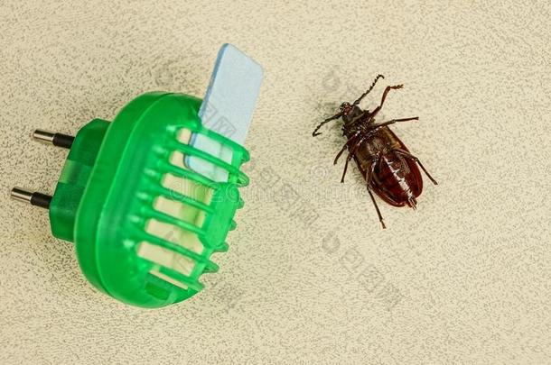 电的虫保护装置和棕色的甲壳虫