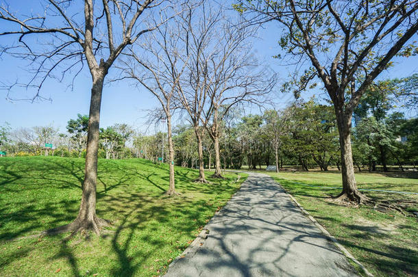 走道采用指已提到的人公园在之间绿色的院子和身材高的树采用w采用ter