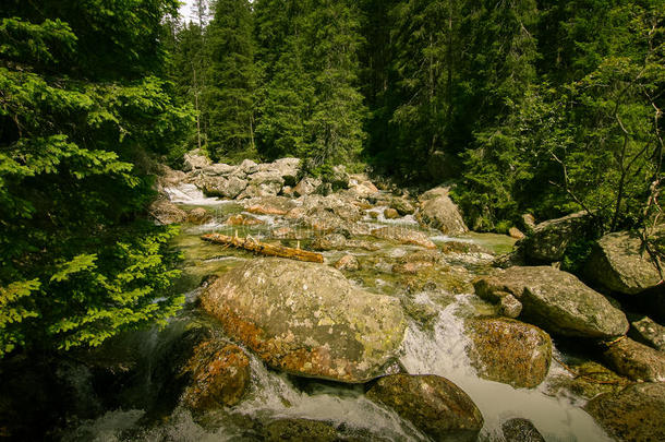 一美丽的山河风景采用塔特拉山