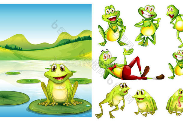地点和青蛙采用池塘和别的青蛙字符