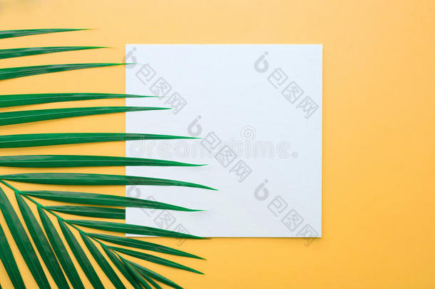 热带的<strong>手掌</strong>树叶和白色的纸卡片框架向<strong>彩色</strong>粉笔颜色