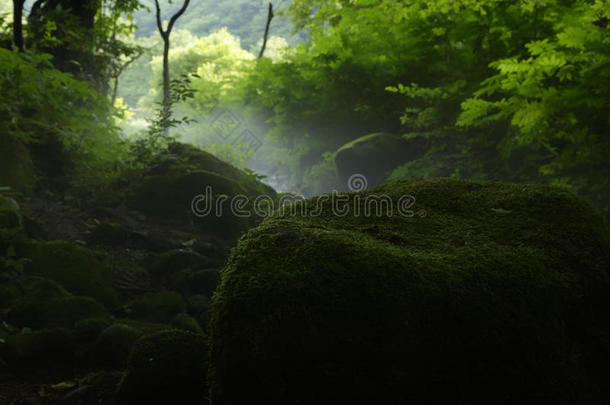 北泽山河流