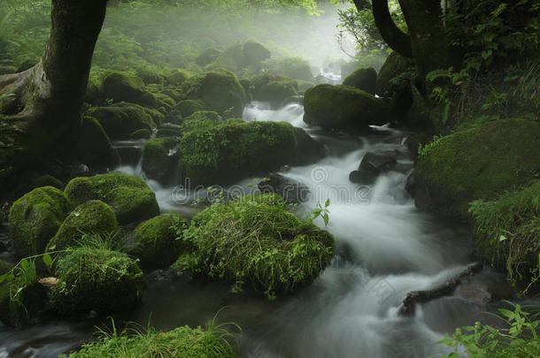 北泽山河流