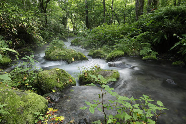 北泽山河流