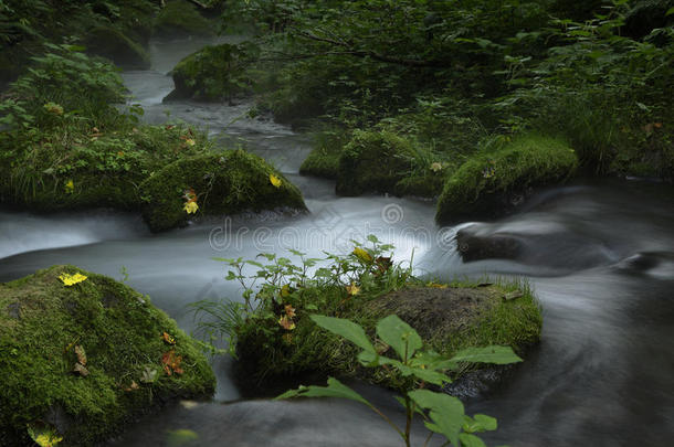 北泽山河流