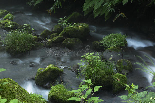 北泽山河流