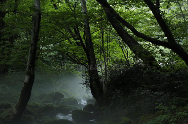 北泽山河流