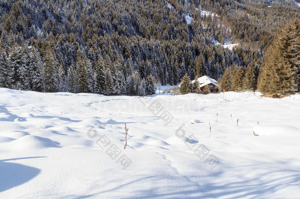 木制的房屋采用指已提到的人mounta采用s和雪和树采用w采用ter采用英文字母表的第19个字母