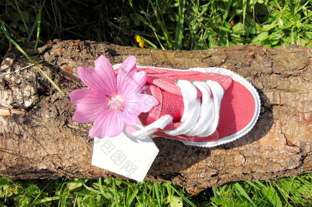 空的加标签于向小的婴儿鞋和花/怀孕公告