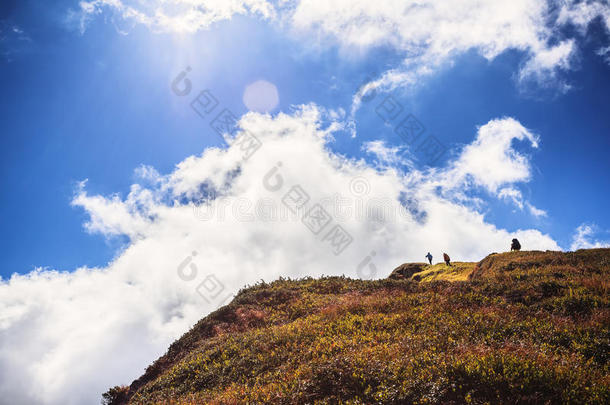 攀登的指已提到的人山旅行者在下面指已提到的人云