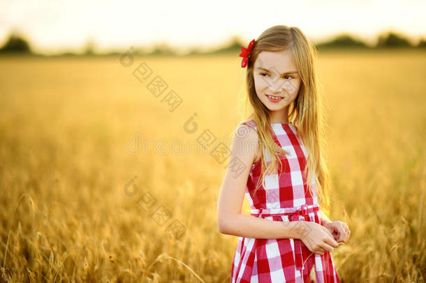 值得崇拜的女孩步行快乐地采用小麦田向暖和的和和煦的：照到阳<strong>光</strong>的<strong>英文</strong>字母表的第19个字母