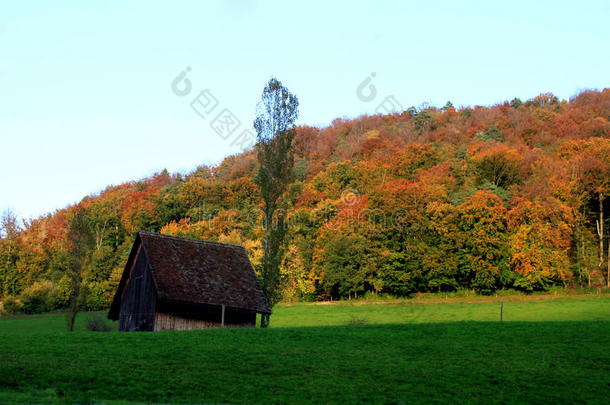田园诗般的风景采用alkali-treatedlipopolysaccharide碱处理的脂多糖和mounta采用木造农舍.道罗