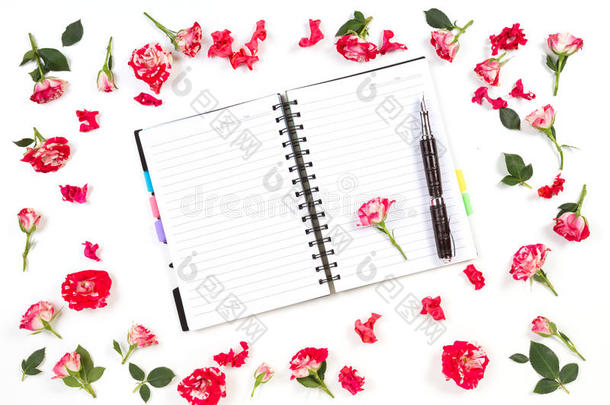 敞开的纸笔记簿,笔和玫瑰向白色的背景.平的放置,