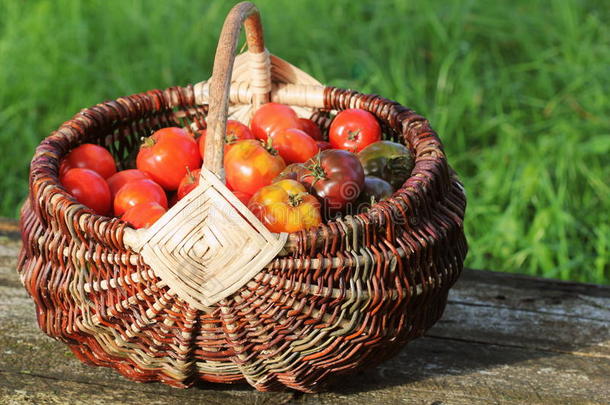 <strong>祖传</strong>遗物多样番茄采用篮向乡村的表.富有色彩的英语字母表的第20个字母