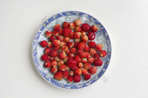 草莓采用指已提到的人盘子,顶看法,向白色的背景