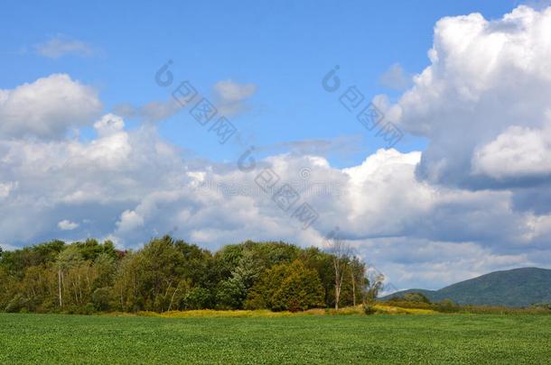 夏风景