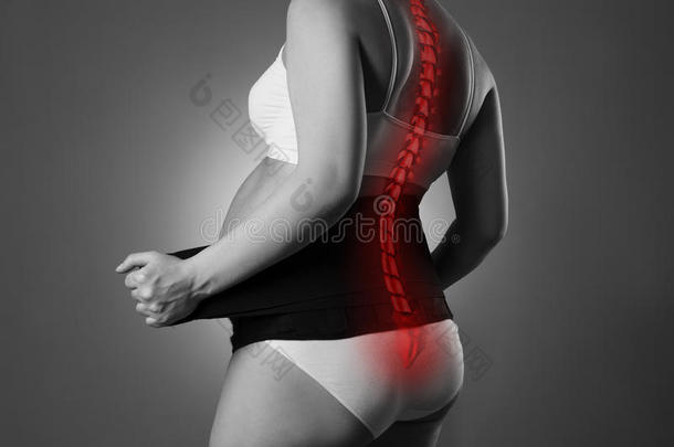 脊柱痛苦,怀孕的女人和整形手术的支持腰带,孕妇