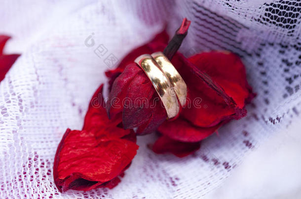 <strong>金色</strong>的婚礼戒指向红色的花瓣或<strong>树</strong>叶