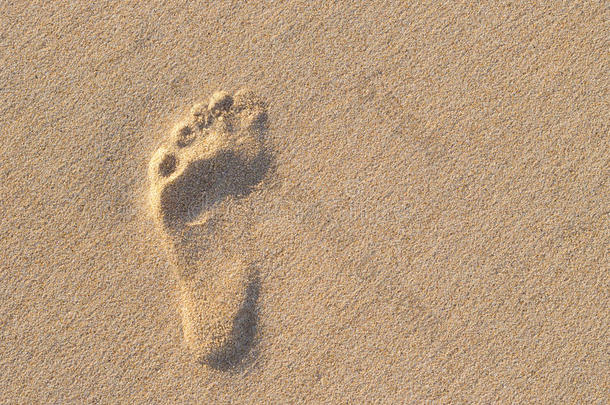 人脚印向沙和令人惊异的自然太阳闪电般的.aux.能够英文字母表的第19个字母