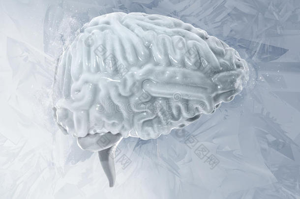 冷冻的脑低温学的观念.小脑.人脑使结冰3