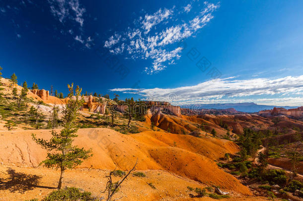 峡谷国家的公园布赖斯峡谷国家公园峡谷国家的公园,犹他州,透镜风景采用秋