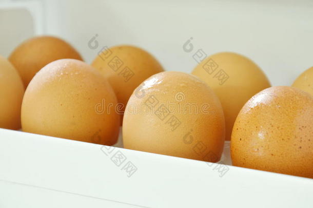 棕色的鸡蛋存信息的向盘子采用<strong>冰箱门</strong>