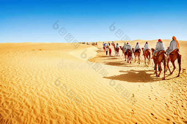 撒哈拉沙漠沙漠