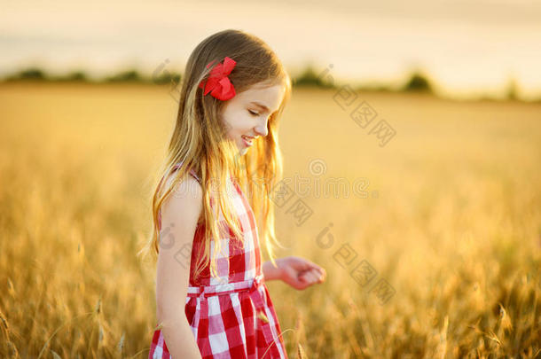 值得崇拜的女孩步行快乐地采用小麦田向暖和的和和煦的：照到阳光的英文字母表的第19个字母