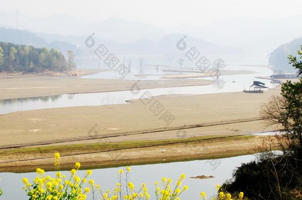 潮湿的土壤.湖水.水草.莲花根.汽船.