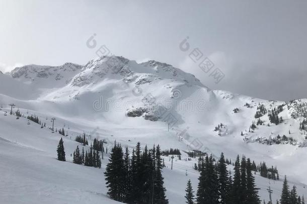 吹口哨的人helicopter直升机滑雪