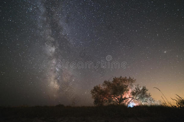 指已提到的人中心关于我们的家星系,指已提到的人像牛奶的道路上升的越过指已提到的人int.咄！呸！