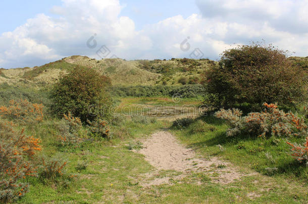 沙丘风景,诺<strong>德霍兰德</strong>杜因雷斯瓦特