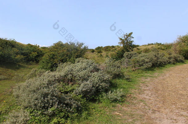 沙丘风景,诺<strong>德霍兰德</strong>杜因雷斯瓦特