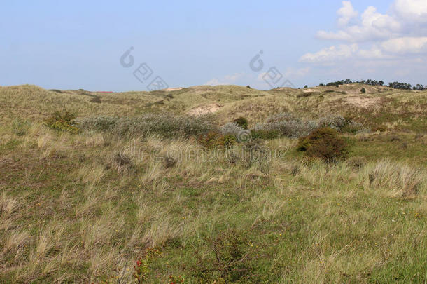 沙丘风景,诺德霍兰德杜因雷斯瓦特