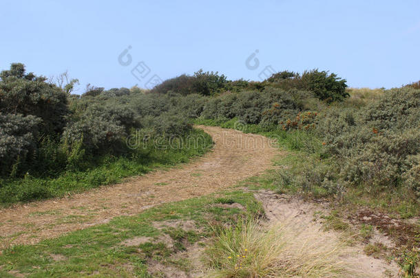 沙丘风景,诺<strong>德霍兰德</strong>杜因雷斯瓦特