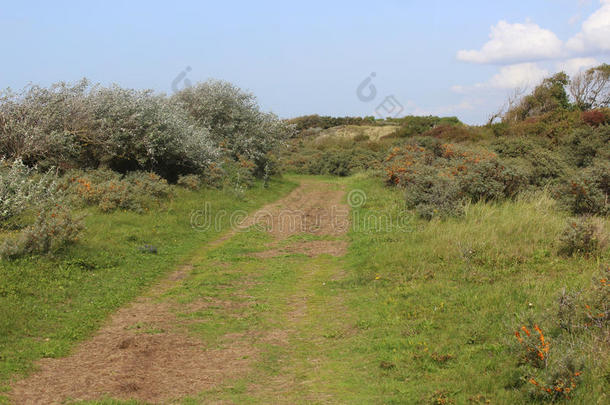 沙丘风景,诺<strong>德霍兰德</strong>杜因雷斯瓦特