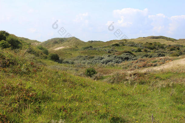 沙丘风景,诺德霍兰德杜因雷斯瓦特