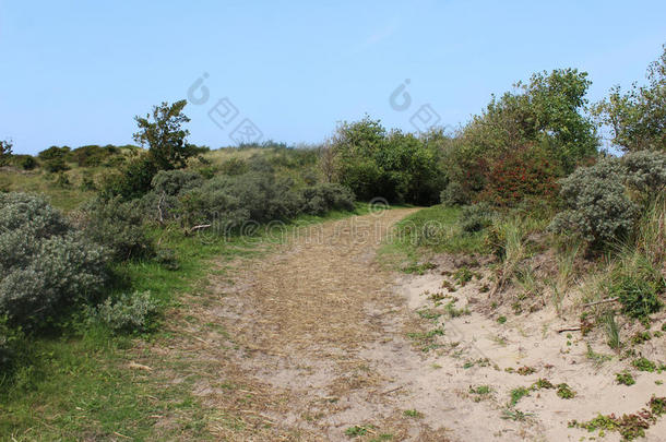 沙丘风景,诺德霍兰德杜因雷斯瓦特