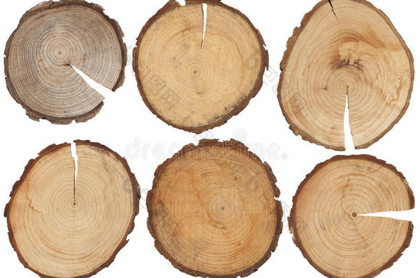 木材结构,隔离的木材磁盘