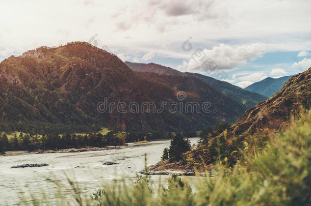 风景关于阿尔泰语山和卡通河河