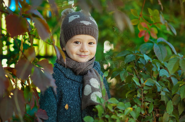 幸福的小孩波伊投秋树叶和笑声在户外