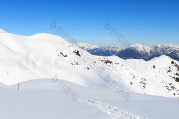 山全景画和雪和雪shoe跟踪采用w采用ter采用树桩