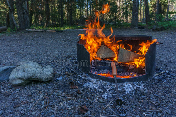 营火和木柴在野营地点采用指已提到的人森林不列颠的Columba天鸽座