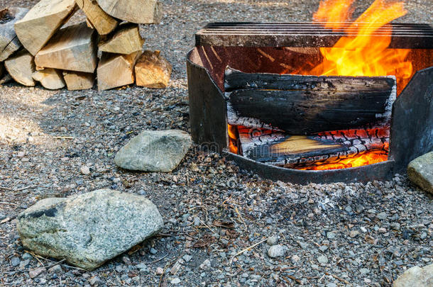 营火和木柴在野营地点采用指已提到的人森林不列颠的Columba天鸽座