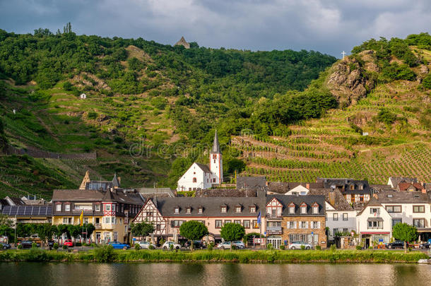葡萄园在上面法国摩泽尔河流域产白葡萄酒河