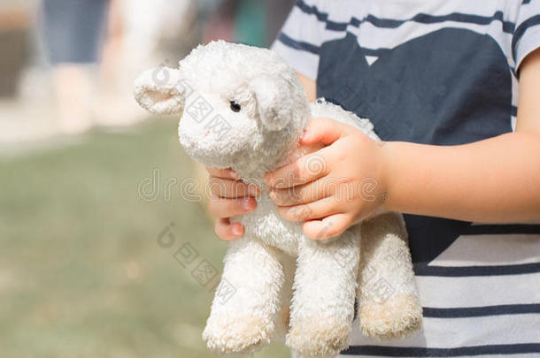 小的女孩佃户租种的土地一玩具羊