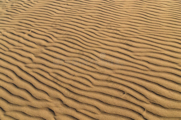沙采用指已提到的人沙漠同样地一b一ckground
