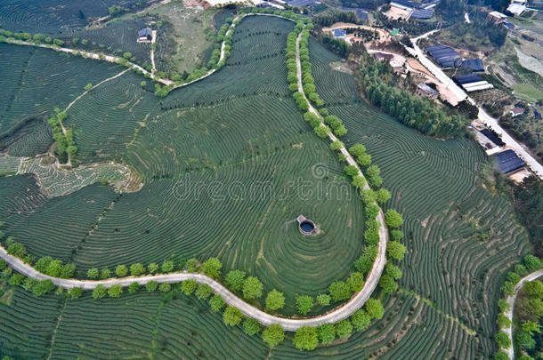 空气的<strong>摄影</strong>向顶关于指已提到的人山茶水花园风景